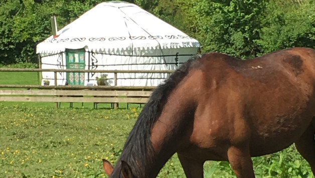 Two Night Summer Yurt Getaway in Devon for Two picture