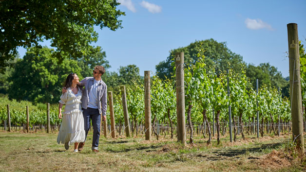 Vineyard Tour and Wine Tasting for Two at Chapel Down Winery, Kent Image 5