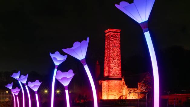 Glow Entrance at RHS Bridgewater for Two picture