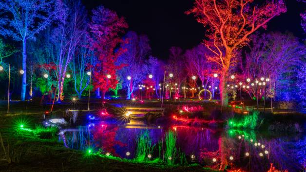 Glow Entrance at RHS Bridgewater for Two Adults and Two Children picture
