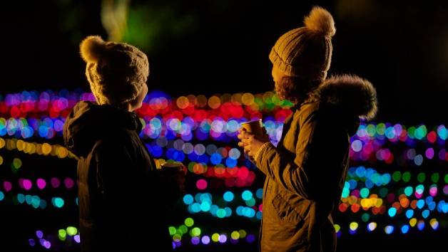 Glow Entrance at RHS Harlow Carr for Two Adults and Two Children picture