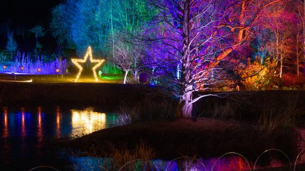 Glow Entrance at RHS Harlow Carr for Two picture