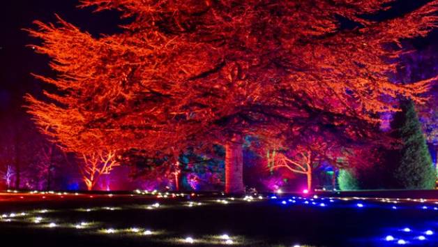 Glow Entrance at RHS Rosemoor for Two picture