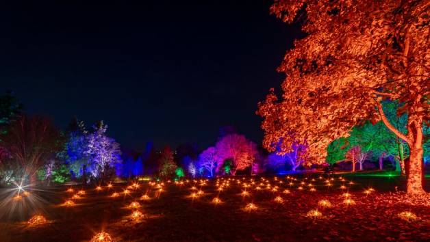 Glow Entrance at RHS Rosemoor for Two Adults and Two Children picture