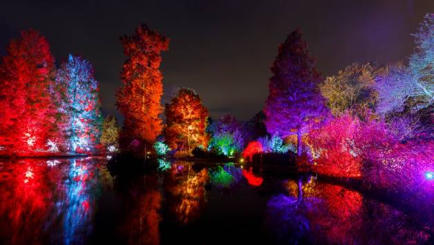 Glow Entrance at RHS Wisley for Two picture