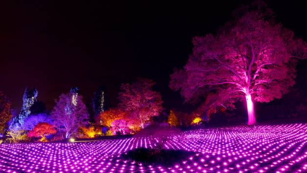 Glow Entrance at RHS Wisley for Two Adults and Two Children picture