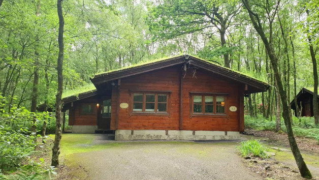 Overnight Stay in a Woodland Cabin for Two at Chevin Country Park Hotel and Spa, West Yorkshire picture