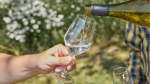 Tour and Picnic at Wildshark Vineyard for Two picture