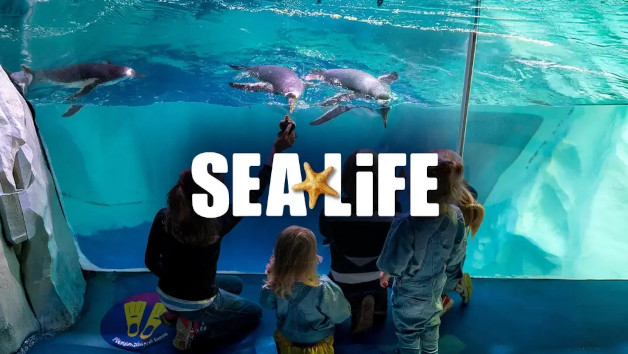 Entry Tickets to SEA LIFE for Two Adults and One Child UK Wide picture