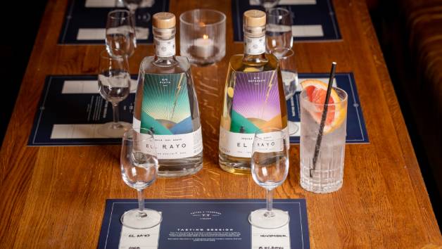 Agave Tasting with Mixology Events for Two picture
