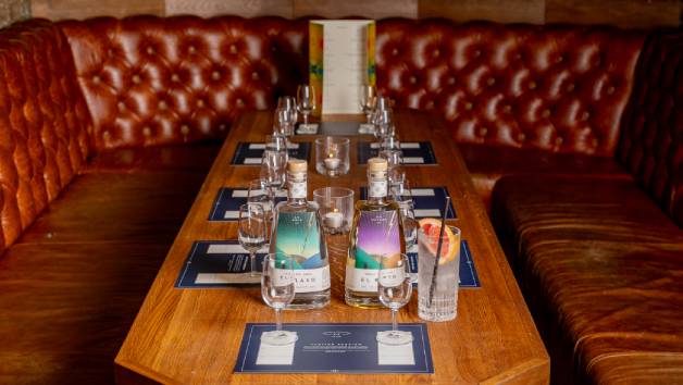 Agave Tasting for Three with Mixology Events picture