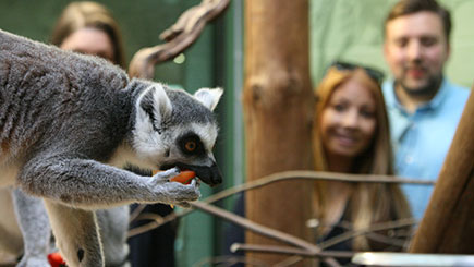 One Night Weekday Stay at The Lodge at Bristol Zoo Gardens One Night Weekday Stay at The Lodge at Bristol Zoo Gardens