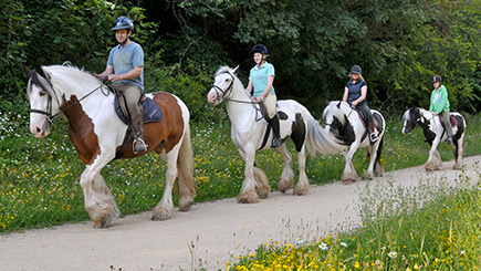 Introduction to Horse Riding in Nottinghamshire Image 1