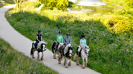 Introduction to Horse Riding in Nottinghamshire Image 3