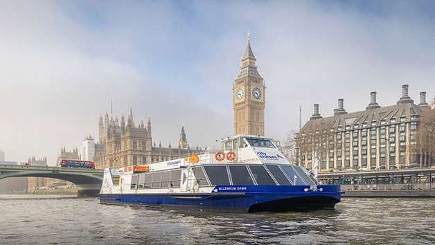 Evening Thames Cruise and a Glass of Sparkling Wine with Canapes for Two Image 4