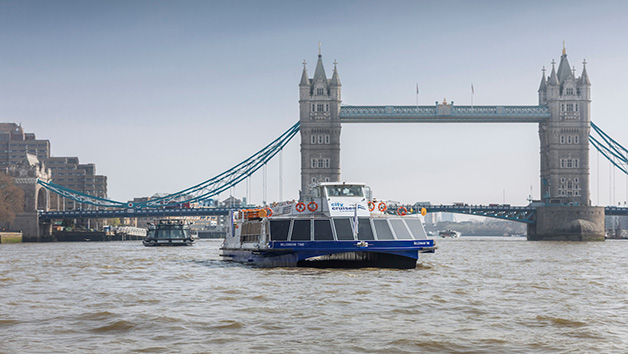 River Thames Murder Mystery Three Course Dining Cruise for Two Image 5