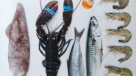 Ultimate Fish and Shellfish at Cookery School in London