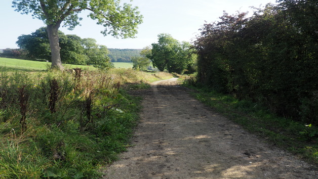 Solo Peak District Taster eBike Tour Image 5