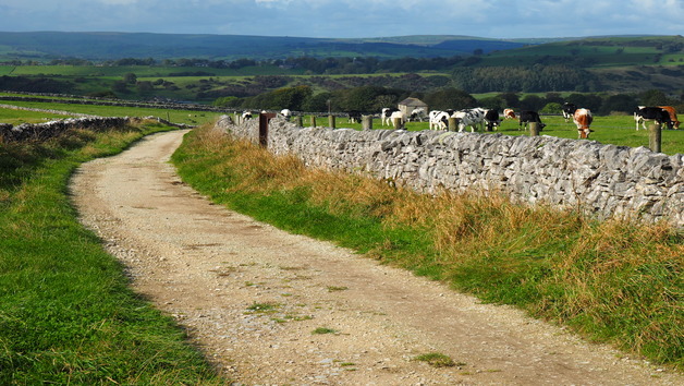 Solo Peak District Taster eBike Tour Image 3