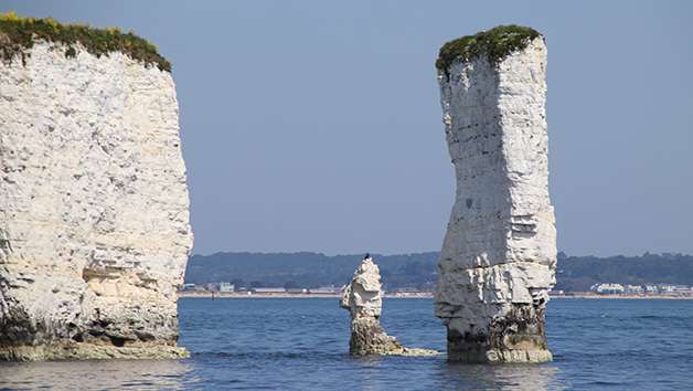 Jurassic Cruise for Two Adults from Poole Harbour picture