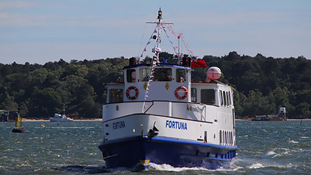 Seatrain Adventure with Return Cruise and Swanage Railway Trip for One Adult and One Child picture