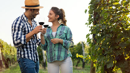 Vineyard Tour, Wine Tasting and Buffet Lunch for Two at Denbies Vineyard Image 2