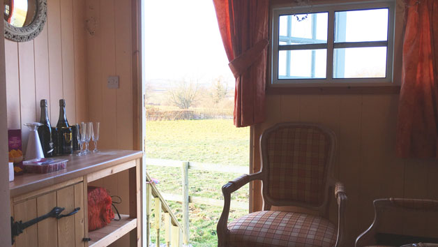 Two Night Shepherd's Hut Break in Devon During Low Season for up to Four People Image 3