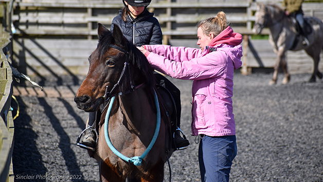 90-Minute Horse Riding Experience for One with Eat, Sleep, Ride Image 2