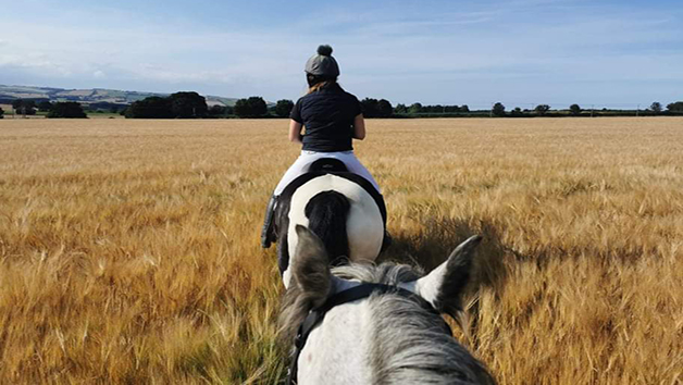 90-Minute Horse Riding Experience for One with Eat, Sleep, Ride Image 3