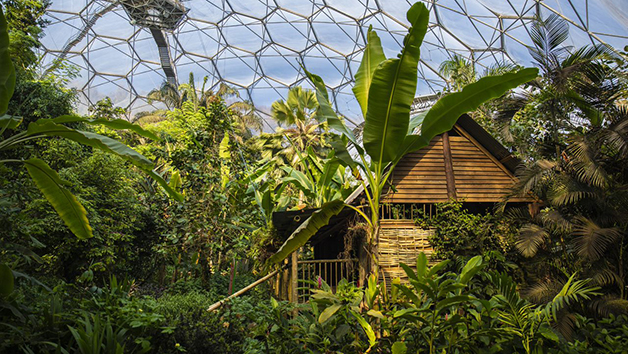 One Year Individual Family Membership to the Eden Project Image 3