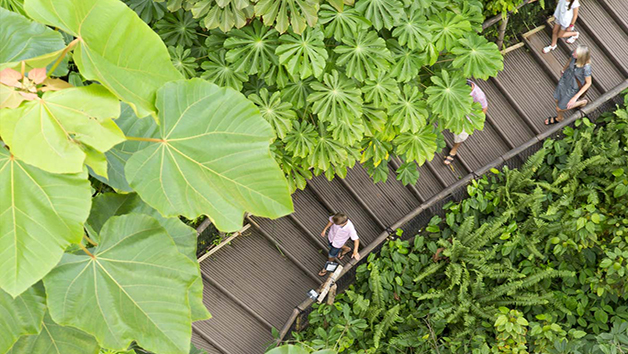 One Year Individual Family Membership to the Eden Project Image 4