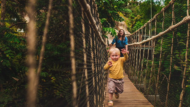 One Year Individual Family Membership to the Eden Project Image 5