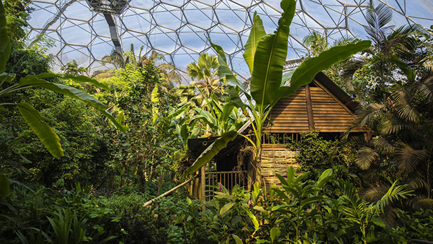 One Year Individual Membership to the Eden Project Image 3