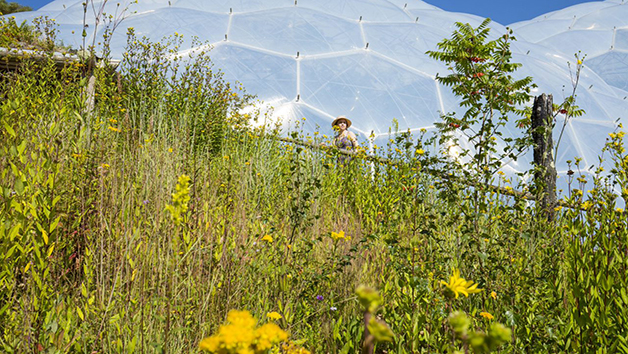 One Year Individual Membership to the Eden Project Image 4