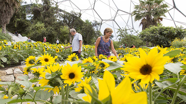 One Year Individual Membership to the Eden Project Image 5