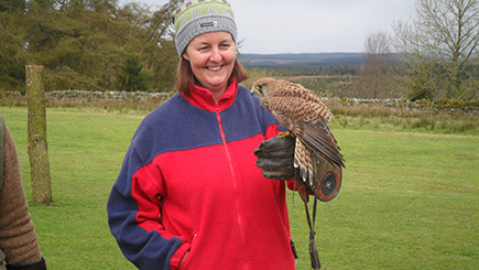 Family Falconry Image 2