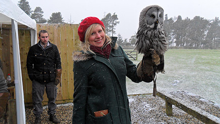 Owl Encounter at Falcon Days