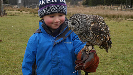 Owl Encounter at Falcon Days Image 3