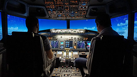 30 Minute Flight Simulator Experience