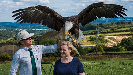 Half Day Falconry Experience for Two