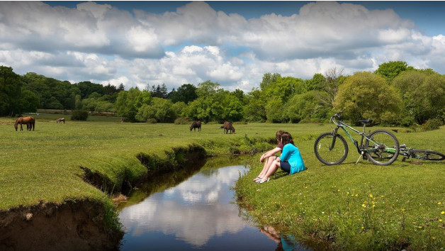 Full Family Bike Day and Accessory Hire in The New Forest for Two Adults and One Child picture