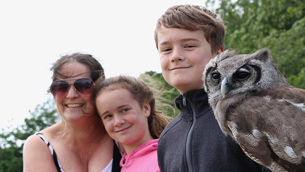 The Owl Family Experience for Four at the UK Owl and Raptor Centre Image 1