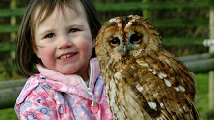 Kids Introduction for Two to Birds of Prey