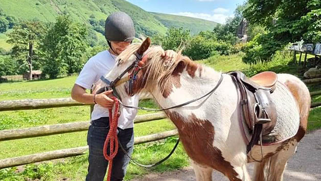 One Hour Horse Riding Experience at Grange Trekking for Two Image 2