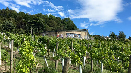 A Yorkshire Vineyard Escape for Two at Holmfirth Vineyard
