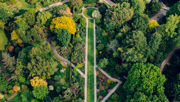 Day Entry for Two to Sir Harold Hillier Gardens with One Hour Private Tour and Hot Drink and Cake picture