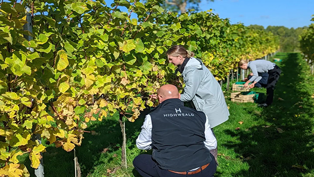 Sussex Vineyard Tour With A Wine Tasting For Two At Highweald Wine Estate