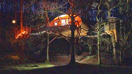 Treehouse Experience for Two Image 2