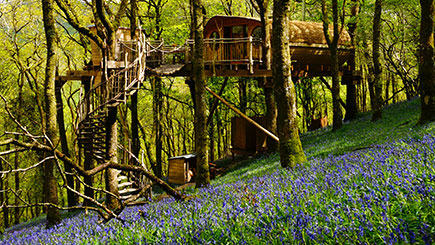 Treehouse Experience for Two