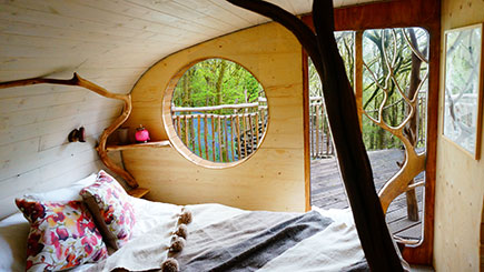 Treehouse Experience for Two Image 3